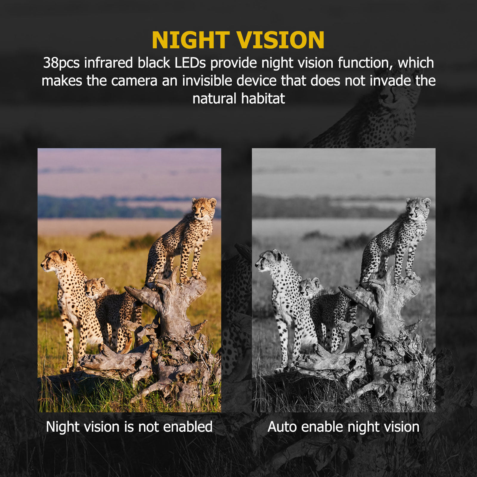 Outdoor Hunting Videos - Cámara de Caza 12MP con Visión