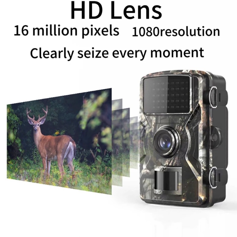 OFERTA ESPECIAL DL001 Cámara d - Outdoor Hunting Videos reseña y precio