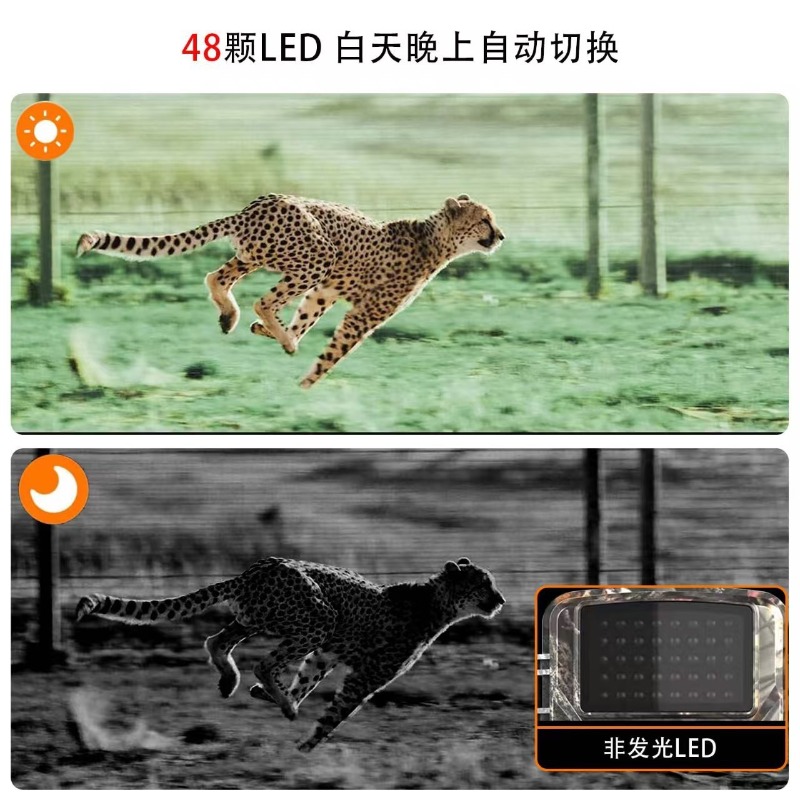 OFERTA ESPECIAL DL001 Cámara d - Outdoor Hunting Videos reseña y precio