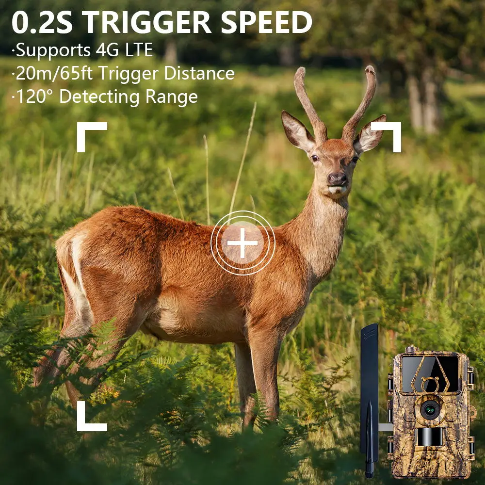 Cámara infrarroja HD8K para vi - Outdoor Hunting Videos reseña y precio