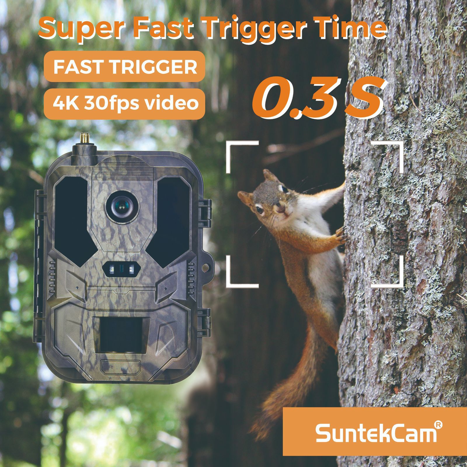 Vídeo 4K para exteriores, foto - Outdoor Hunting Videos reseña y precio