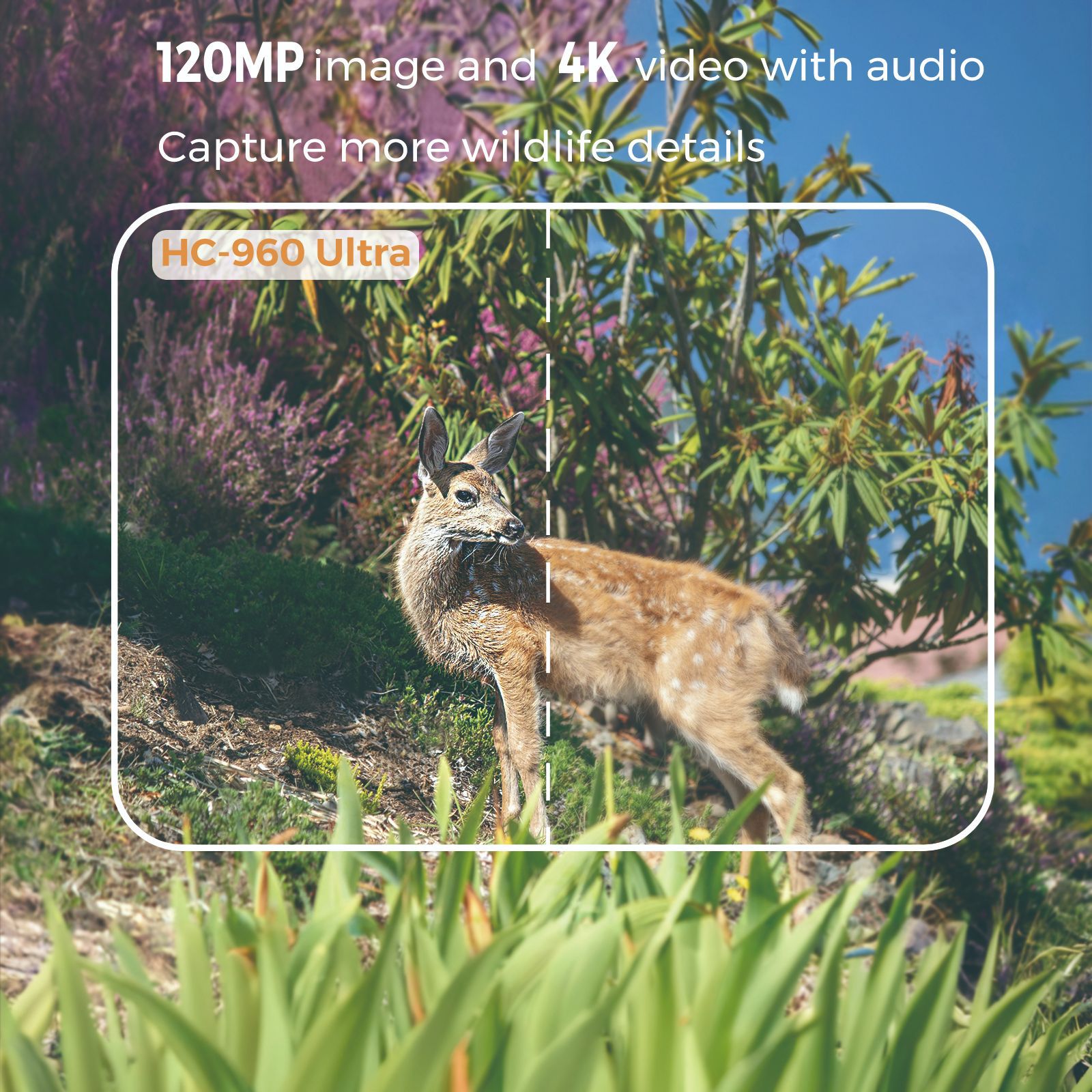 Vídeo 4K para exteriores, foto - Outdoor Hunting Videos reseña y precio