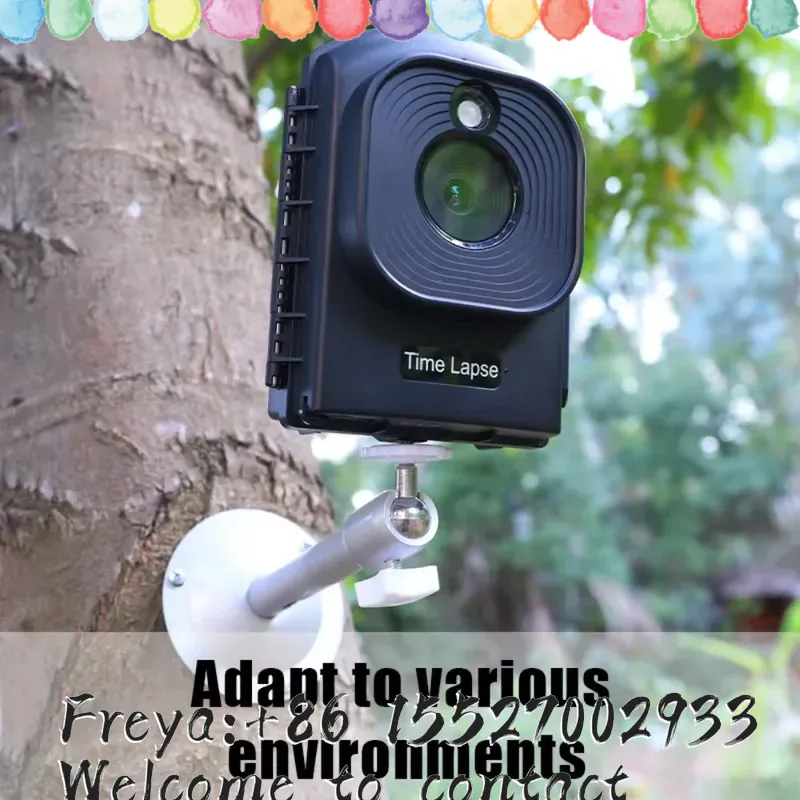 Cámara de Caza con Temporizado - Outdoor Hunting Videos reseña y precio