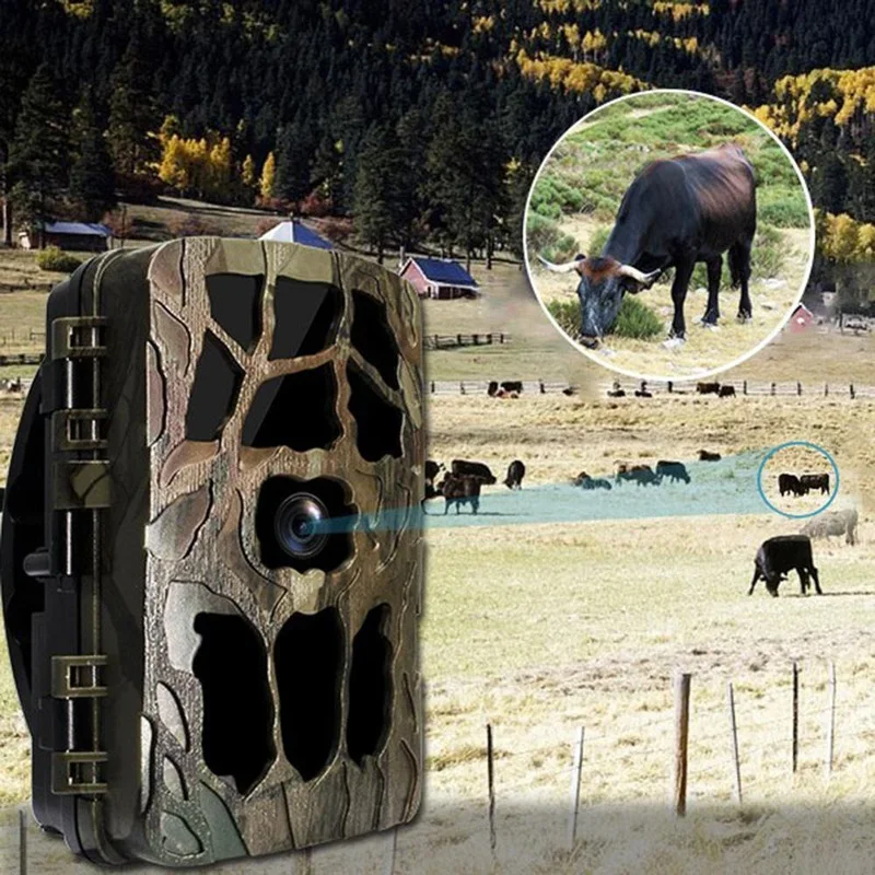 H982 IP66 impermeable 4K infra - Outdoor Hunting Videos reseña y precio